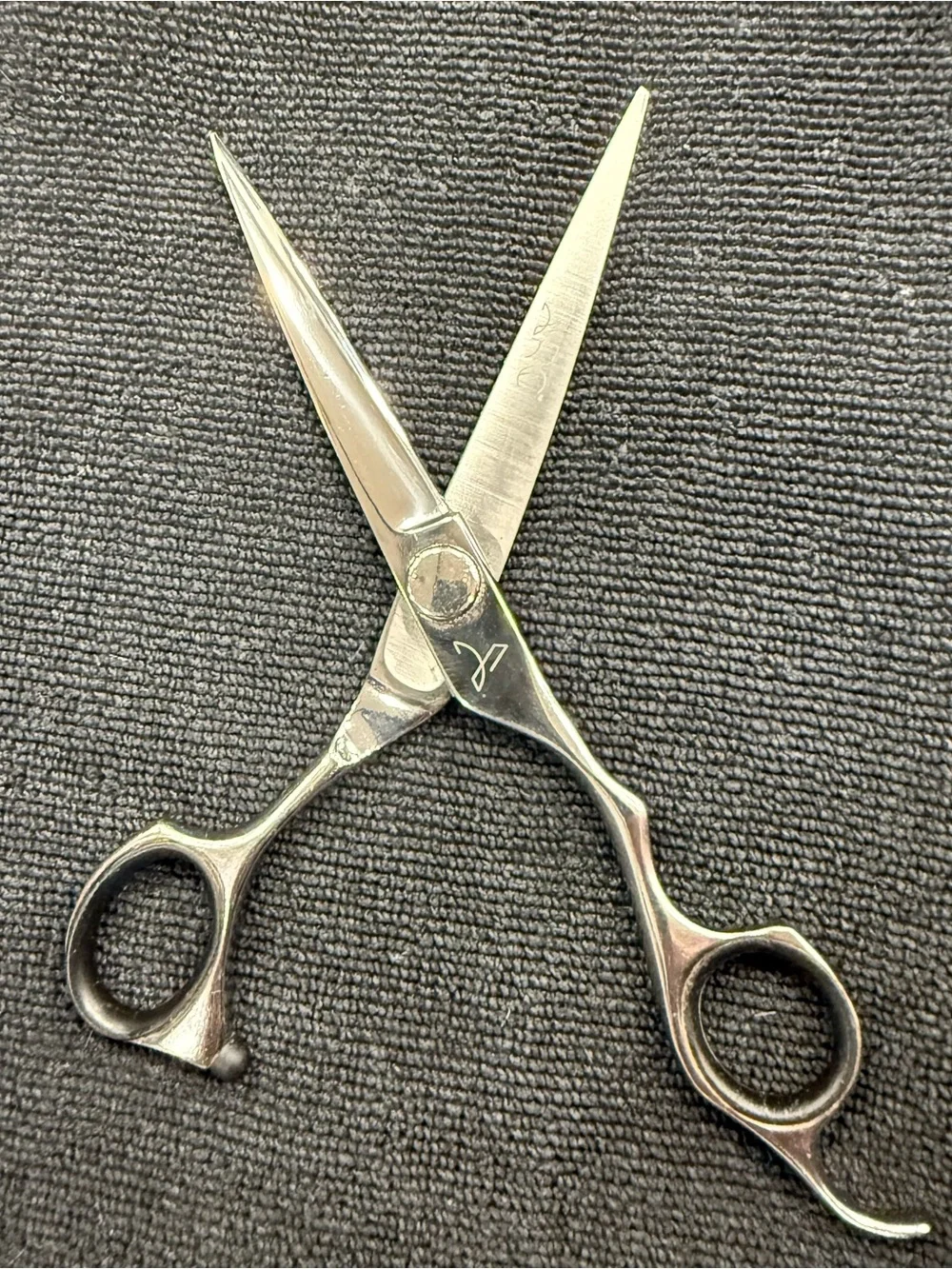 ARC Professional Steel 6”  Cutting Scissors - Silver